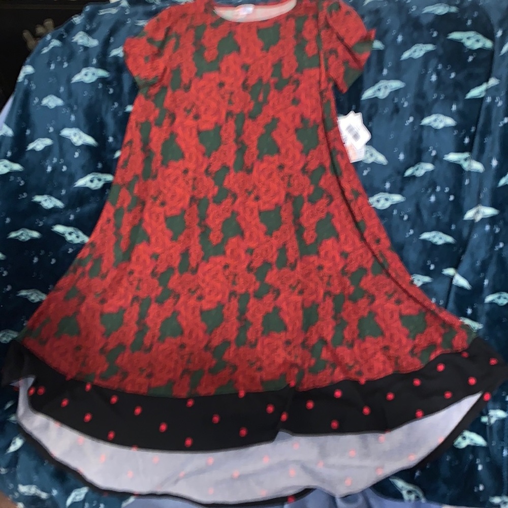 LulaRoe Carly Dress Dipped Red Roses Floral Geometric Hi Lo Swing Sz XS NWT